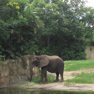 Meet your Posher, Wynona